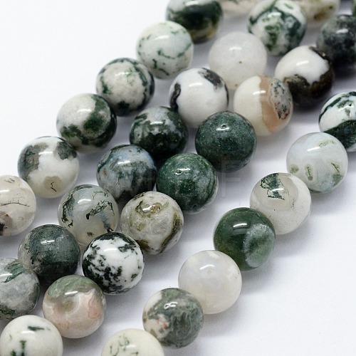 Natural Tree Agate Beads Strands X-G-I199-03-8mm-1