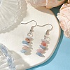 Natural Aquamarine & Pink Opal & Howlite Dangle Earrings EJEW-JE06127-03-2