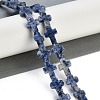 Natural Blue Spot Jasper Beads Strands G-I369-A03-02-2