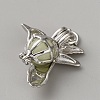 Alloy Bead Cage Pendants FIND-WH0173-218A-3