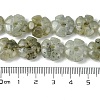 Natural Labradorite Beads Strands G-H023-B19-01-5