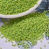MIYUKI Delica Beads SEED-X0054-DB0763-1