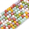 Opaque Glass Beads Strands GLAA-N041-005B-01-1