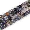 Natural Iolite Beads Strands G-N342-112B-1