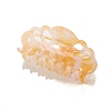 Cellulose Acetate Claw Hair Clips PW-WGBBB11-03-1