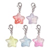 Resin Pendant Decorations HJEW-JM01721-1