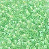 Transparent Glass Round Seed Beads X1-SEED-B001-05A-06-3