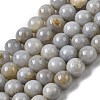 Natural Gemstone Beads Strands G-L641-A01-01-2