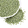 FGB 11/0 Grade A Baking Paint Glass Seed Beads SEED-S030-1037-1