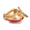 KC Gold Plated Alloy Fruit Brooches JEWB-L017-02KCG-01-2
