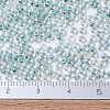 MIYUKI Round Rocailles Beads X-SEED-G007-RR0263-2