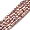 Natural Cultured Freshwater Pearl Beads Strands PEAR-I007-01L-02-2