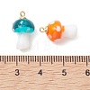 Handmade Lampwork Pendants PALLOY-JF05446-01-3