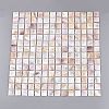 Natural Freshwater Shell Mosaic Tile Cabochons SHEL-Q029-05B-1