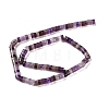 Natural Amethyst Beads Strands G-M420-A17-01-3