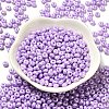 Baking Paint Luster Glass Seed Beads X1-SEED-B001-04A-09-2