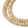 Natural Trochid Shell/Trochus Shell Beads Strands SSHEL-S266-019B-03-3