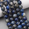 Natural Lapis Lazuli Round Bead Strands G-E262-01-10mm-1
