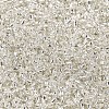 12/0 Glass Seed Beads X2-SEED-A005-2mm-21-2