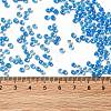 12/0 Transparent Glass Seed Beads SEED-F003-03C-02-4