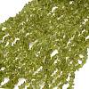 Natural Peridot Beads Strands GG-CBA3182-01-2