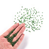8/0 Glass Seed Beads X2-SEED-A005-3mm-27-4