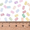 FGB Frosted Transparent Glass Seed Beads SEED-N013-05A-4