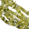 Natural Jade Chip Beads Strands G-B160-B02-4