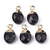 Natural Larvikite Charms X-G-N326-58A-2