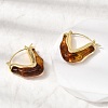 Brass Resin Hoop Earrings EJEW-P333-11A-G02-3