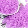 Transparent Colours Glass Seed Beads SEED-P008-01B-04-1