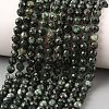 Natural Seraphinite Beads Strands G-K376-A02-5mm-1