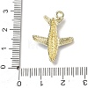 Alloy with Sky Blue Enamel Pendants AL-CBA25EB-01-3