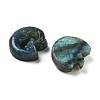 Natural Labradorite Carved Cabochons G-C152-09-2