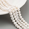 Natural Cultured Freshwater Pearl Beads Strands PEAR-C003-13C-2