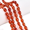 Dyed Natural Agate Beads Strands G-T141-15A-02-2