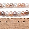 Natural Cultured Freshwater Pearl Beads Strands PA-CBABE82-14-5