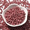 Baking Paint Glass Seed Beads SEED-A032-02A-06-2