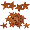 Rust Iron Pendants IFIN-GF0001-23-1