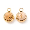 Natural Picture Jasper Charms G-K325-01G-06-2