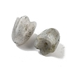 Natural Labradorite Beads G-A222-03G-2