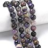 Natural Charoite Beads Strands G-C270-O03-08-1