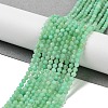 Natural Chrysoprase Beads Strands G-B088-C19-03-2