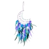 Iron Woven Web/Net with Feather Pendant Decorations LS-AJEW-P097-06-1