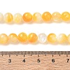 Natural Yellow Shell Beads Strands SH-CBACA76-16A-4
