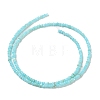 Natural Freshwater Shell Beads Strands SHEL-P017-01A-03-2