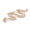 Alloy Snake Brooch Pin JEWB-M027-04KCG-3