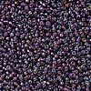 MIYUKI Round Rocailles Beads X-SEED-G007-RR1013-3
