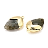 Natural Labradorite Pendants G-U019-03B-07-2