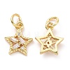 Brass Micro Pave Cubic Zirconia Charms ZIRC-A023-03LG-2